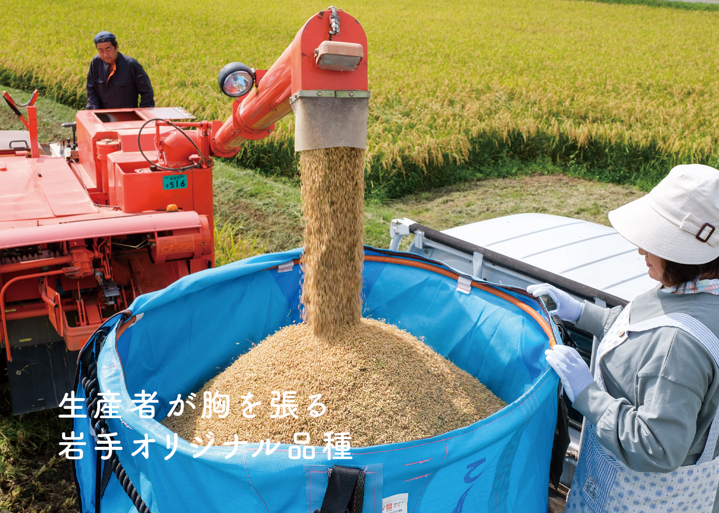 生産者が胸を張る 岩手オリジナル品種