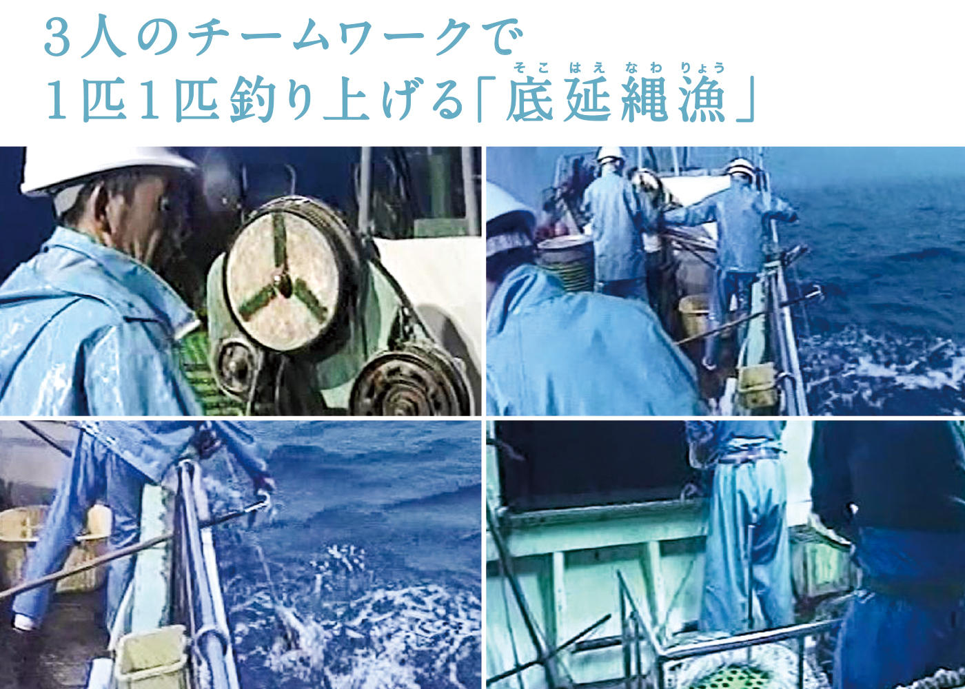 ３人のチームワークで１匹１匹釣り上げる「底延縄漁」