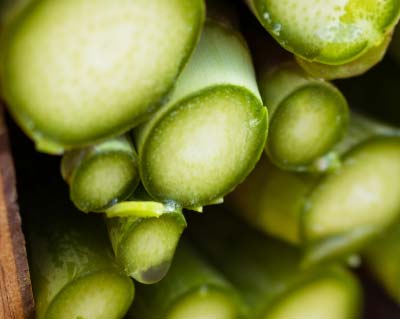 グリーンアスパラガス