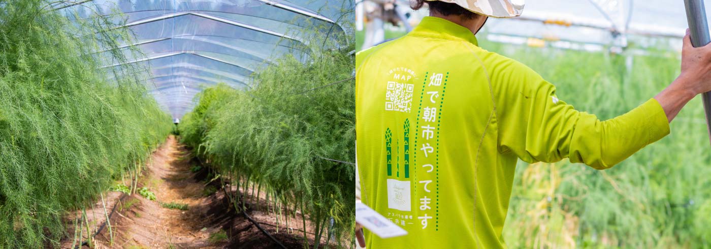 グリーンアスパラガス