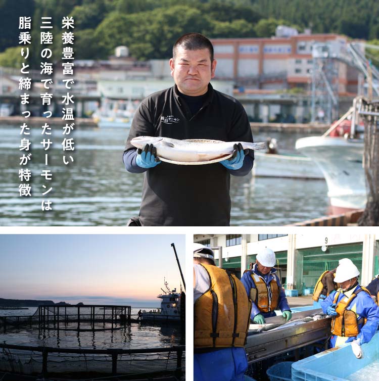 岩手県三陸産サーモン