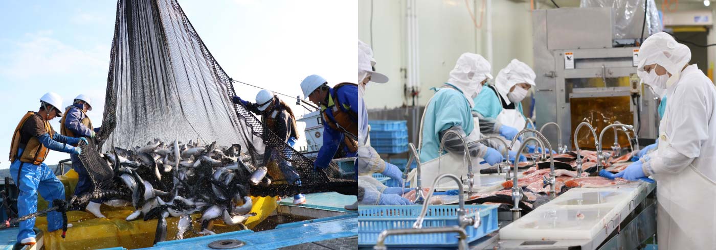 岩手県三陸産サーモン