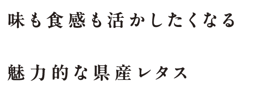 「味も食感も活かしたくなる魅力的な県産レタス」の文字パーツ
