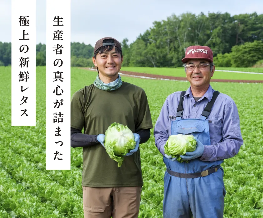 「生産者の真心が詰まった極上の新鮮レタス」の写真